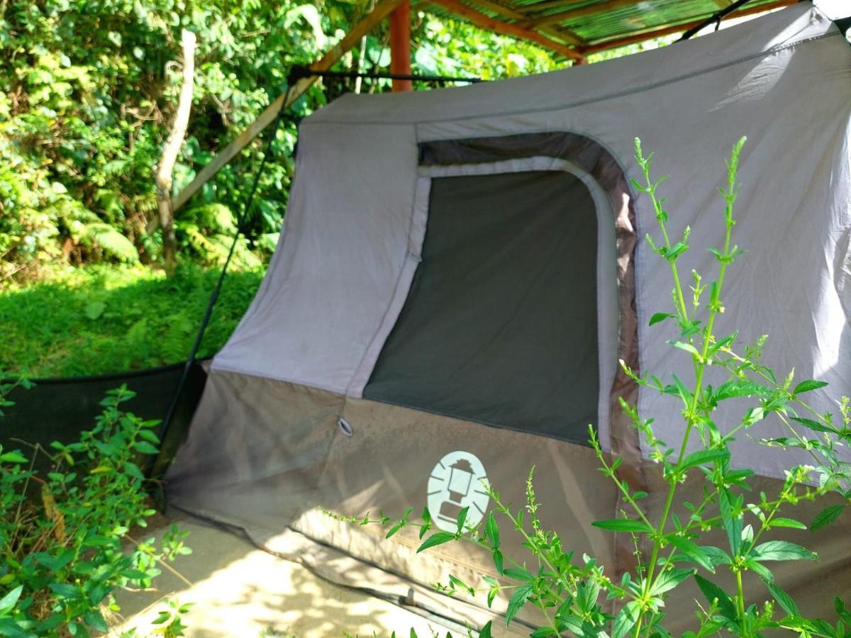 Rustico Arenal B&B La Fortuna Eksteriør bilde