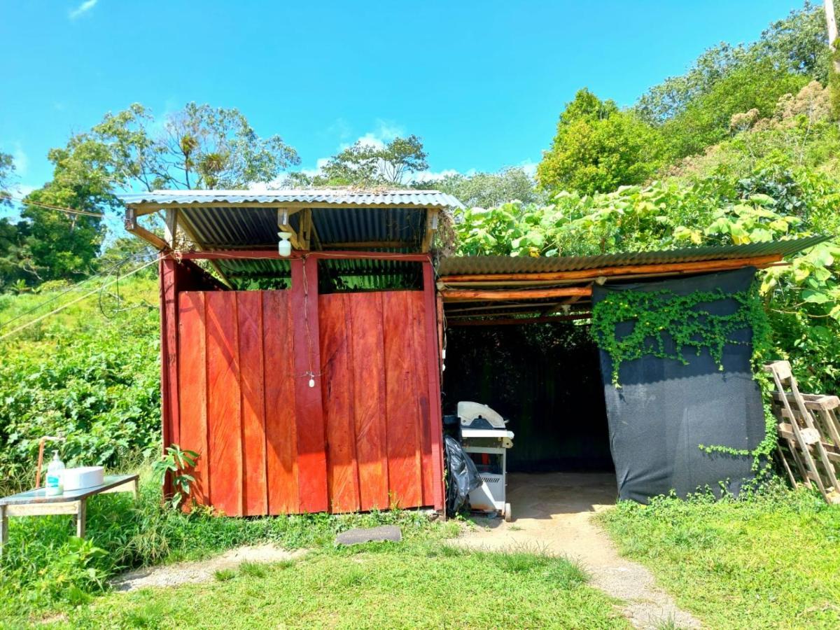 Rustico Arenal B&B La Fortuna Eksteriør bilde